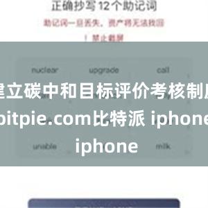 建立碳中和目标评价考核制度bitpie.com比特派 iphone