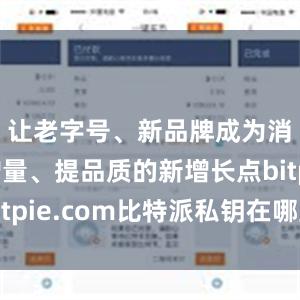 让老字号、新品牌成为消费扩增量、提品质的新增长点bitpie.com比特派私钥在哪里获取