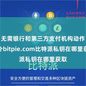 无需银行和第三方支付机构动作中介bitpie.com比特派私钥在哪里获取