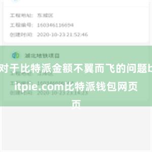 对于比特派金额不翼而飞的问题bitpie.com比特派钱包网页