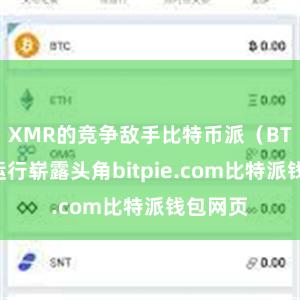 XMR的竞争敌手比特币派（BTC）也运行崭露头角bitpie.com比特派钱包网页