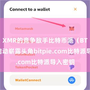 XMR的竞争敌手比特币派（BTC）也启动崭露头角bitpie.com比特派导入密钥