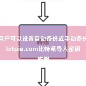 用户可以设置自动备份或手动备份bitpie.com比特派导入密钥