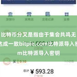 比特币分叉是指由于集会共鸣无法达成一致bitpie.com比特派导入密钥