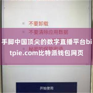 手脚中国顶尖的数字直播平台bitpie.com比特派钱包网页