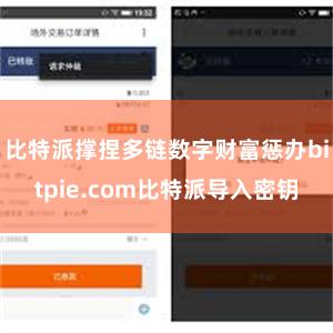 比特派撑捏多链数字财富惩办bitpie.com比特派导入密钥